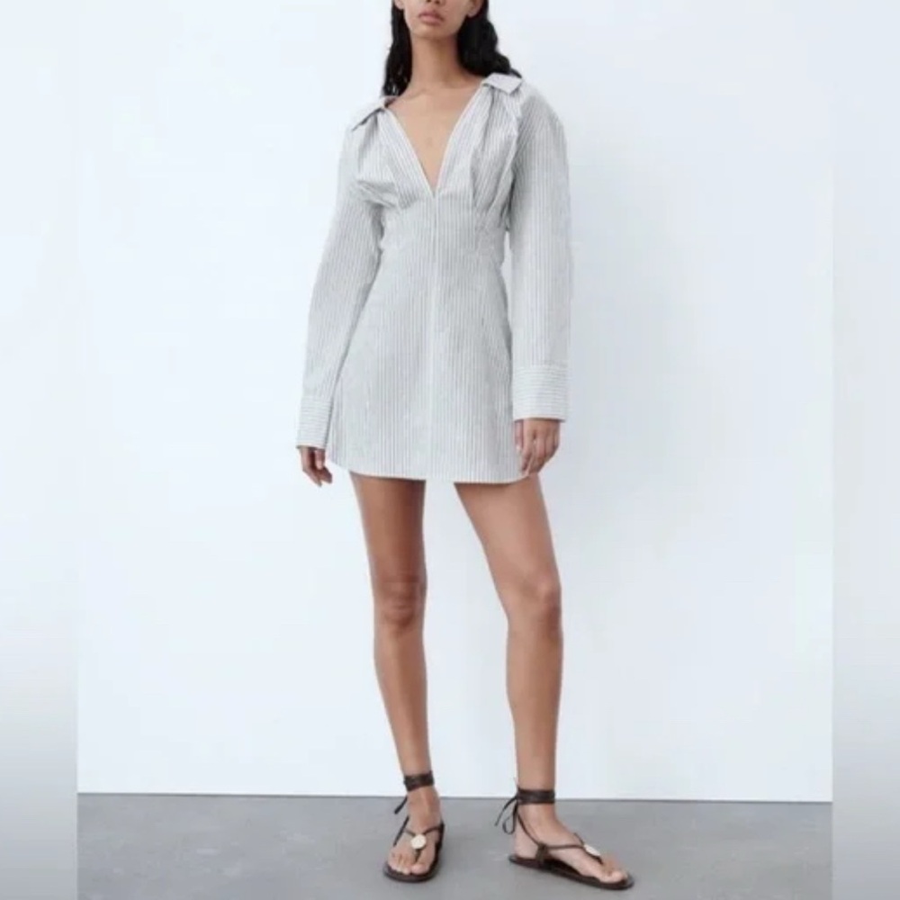 ZARA The Camille Dress